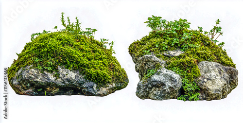 Wallpaper Mural Green moss and plants set isolated on a white background. Torontodigital.ca