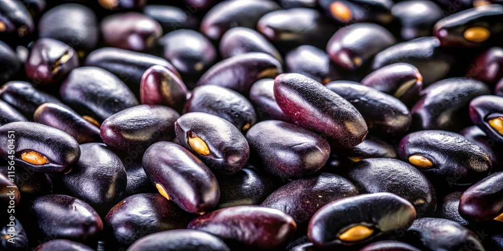 Black Bean Seed Portrait Photography: Macro Close-up Images of Dark Beans Black Bean Seed Portrait Photography: Macro Close-up Images of Dark Beans