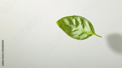 Floating Basil Leaf