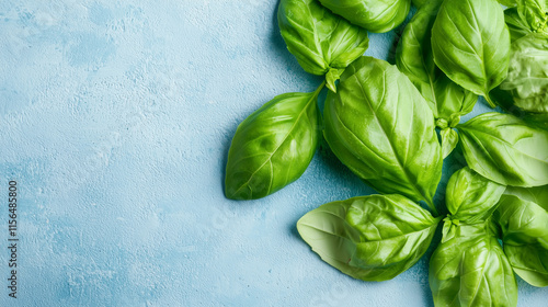 Fresh Basil on Blue: A vibr...
