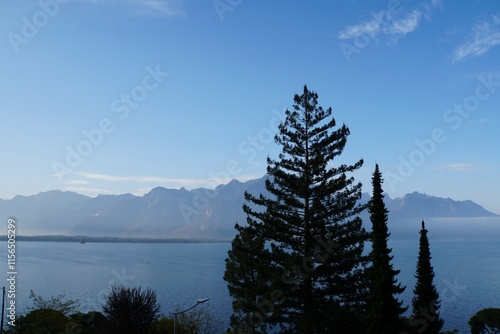 Lake Leman view -  Montreux, Switzerland photo