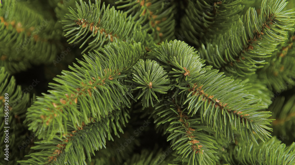 Christmas tree branches closeup. Background of pine and fir branches Christmas tree branches closeup. Background of pine and fir branches
