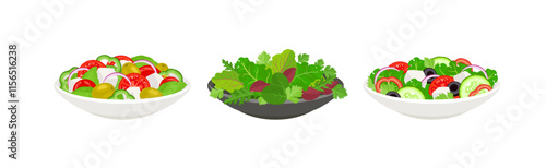 Set of salads with fresh vegetables in plates. Vector cartoon flat illustration of healthy food. 
