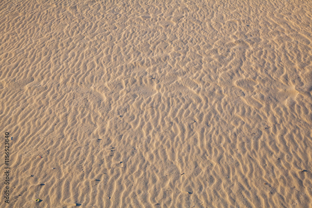 Obraz premium 秋の鳥取砂丘とその紋様 鳥取県 鳥取砂丘