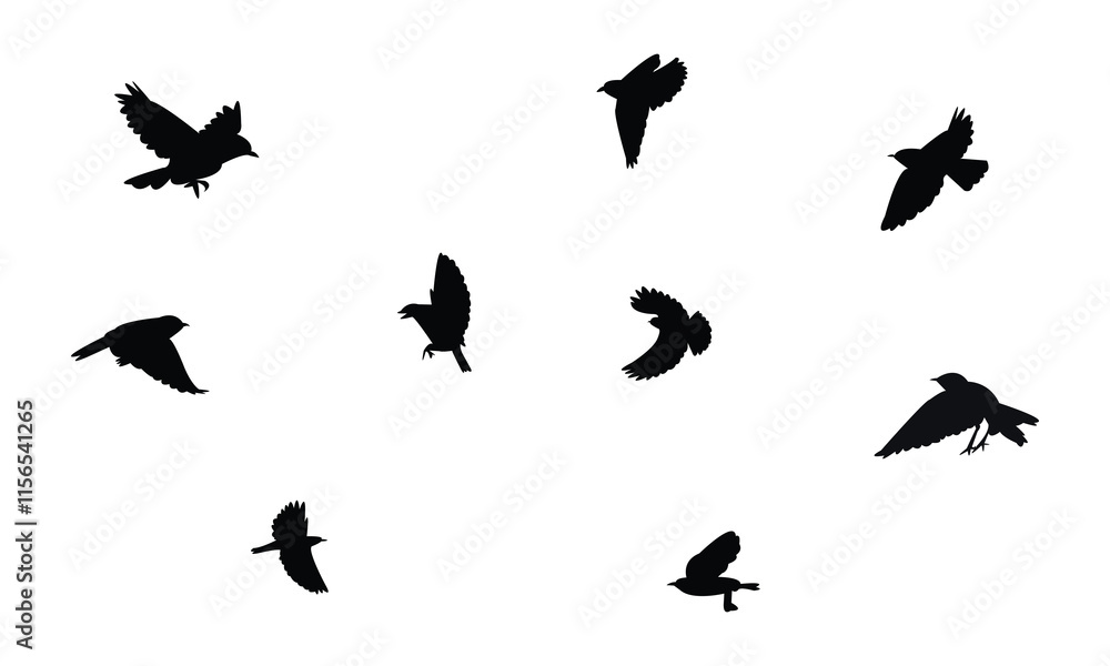Obraz premium Flying Wheatear Bird Silhouette Design And Vector Illustration. 