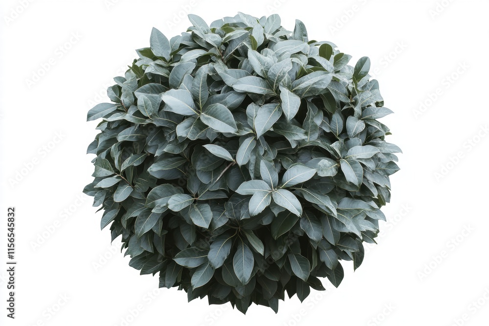 Lush Green Leaf Sphere, Isolated on White