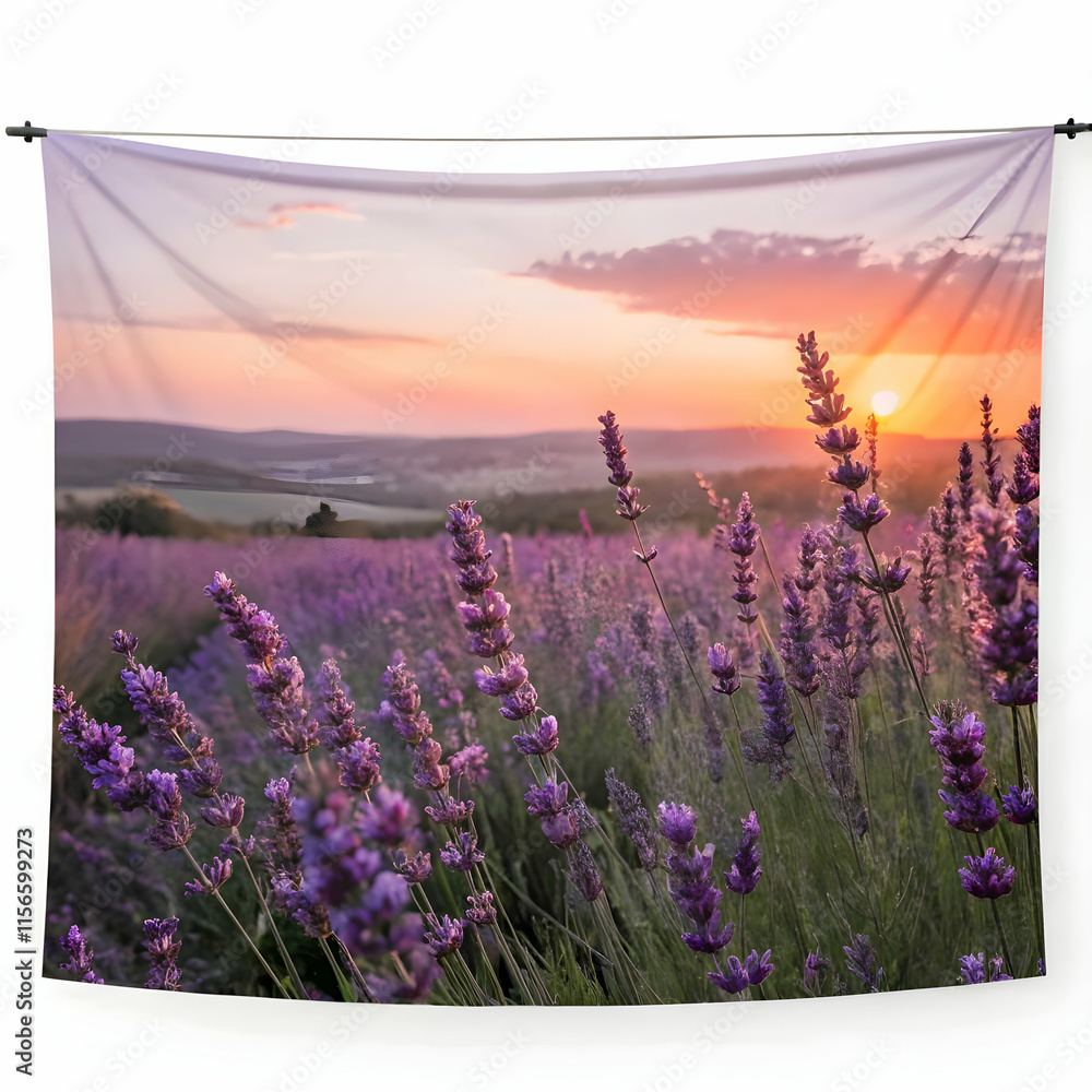 Obraz premium lavender flower view point of sunset