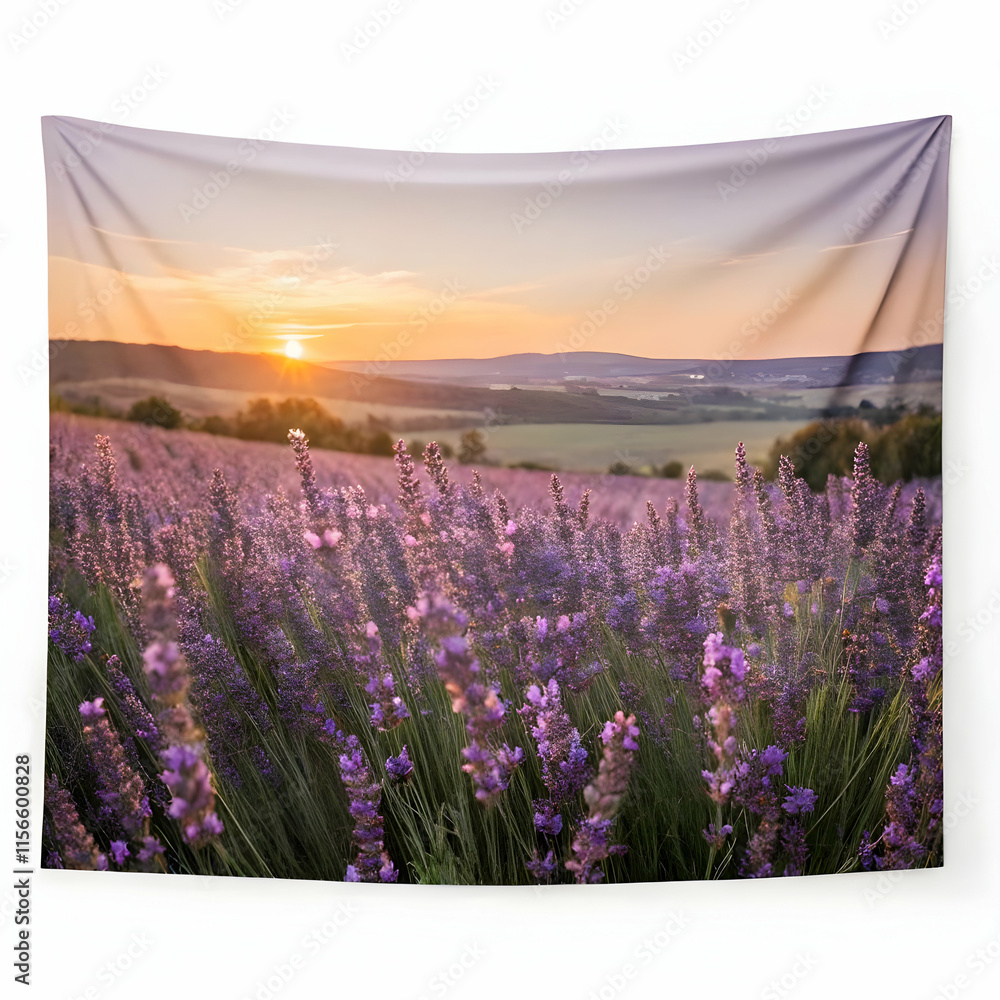Fototapeta premium lavender flower view point of sunset