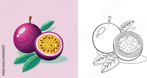 illustration of passion fruit