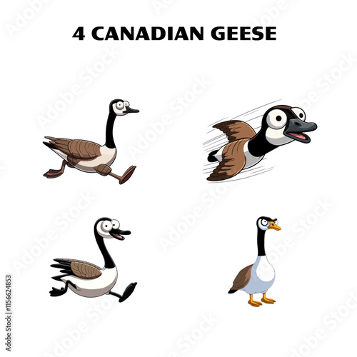 Vector Illustrated Cartoon  Set of 4 Canadian Geese Isolated on White Background