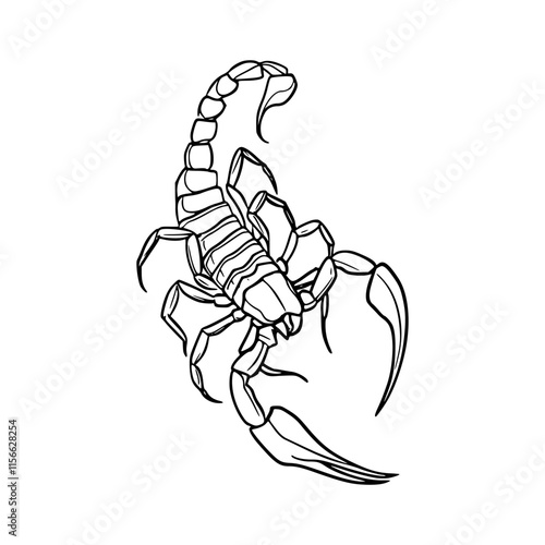 a detailed line art drawing of a scorpion illustration