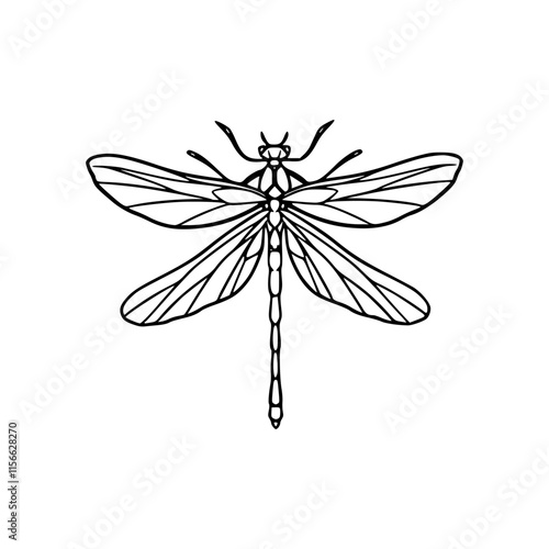 a detailed line art drawing a dragonfly illustration