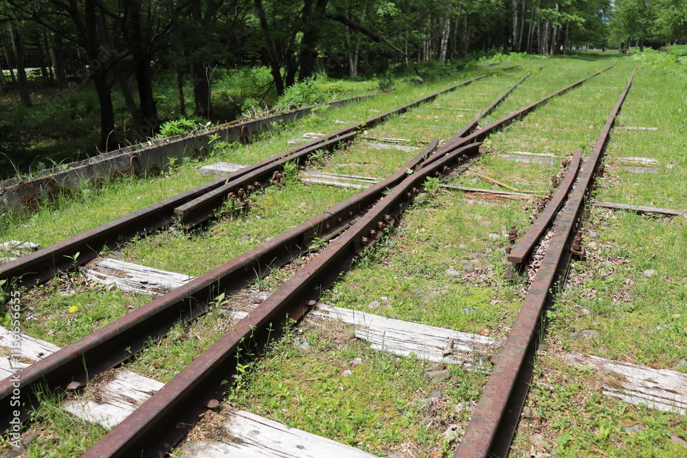 Fototapeta premium 旧国鉄士幌線