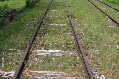 Podobny obraz