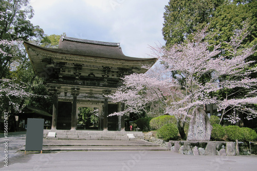 Obraz na płótnie 日本：園城寺
