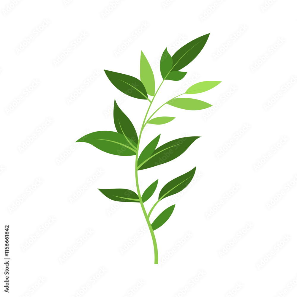 Fototapeta premium leaf illustration element