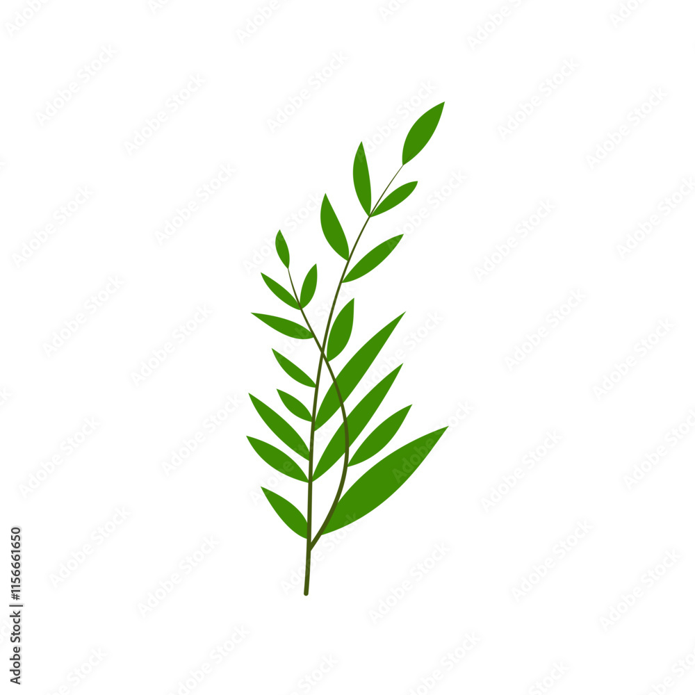 Fototapeta premium leaf illustration element