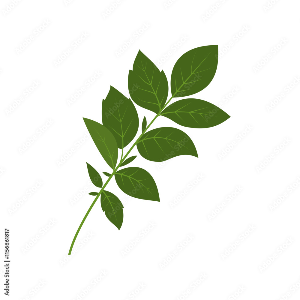 leaf illustration element leaf illustration element