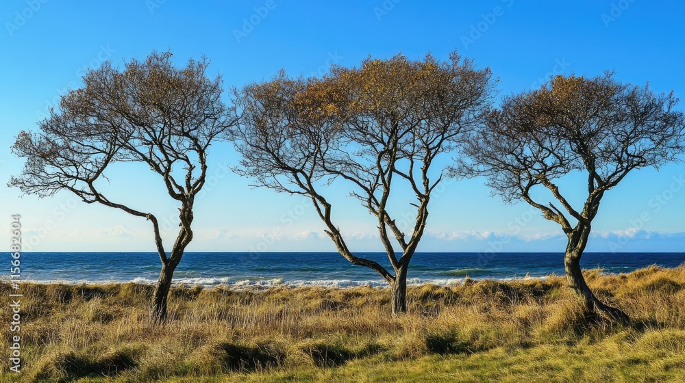 Coastal Landscape with Silhouetted Trees Against a Clear Blue Sky and Serene Ocean View Coastal Landscape with Silhouetted Trees Against a Clear Blue Sky and Serene Ocean View