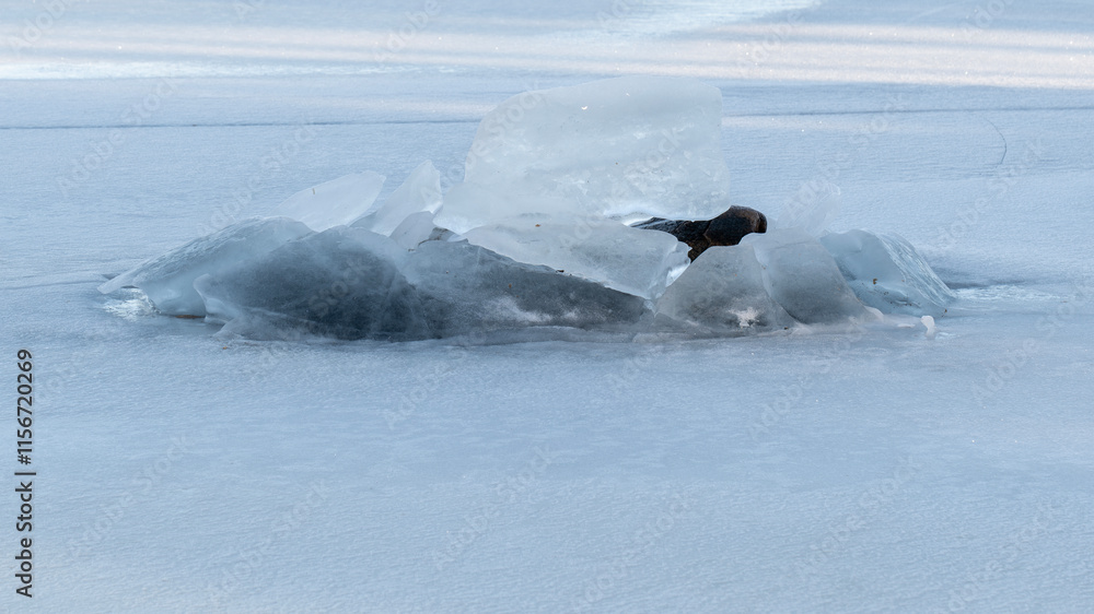 Fototapeta premium Abstarct natural ice texture. Freezy ice surface.