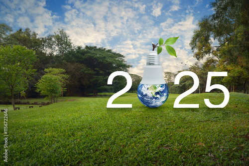 Fototapeta Naklejka Na Ścianę i Meble -  2025 white text with earth globe inside led light bulb on green grass field and trees in park, Happy new year 2025 ecology saving power and energy concept, Elements of this image furnished by NASA