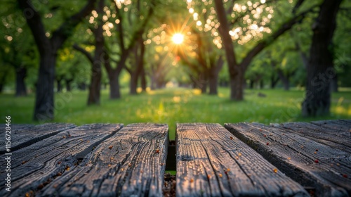 Spacious wooden table surrounded by lush nectarine trees in a vibrant orchard setting