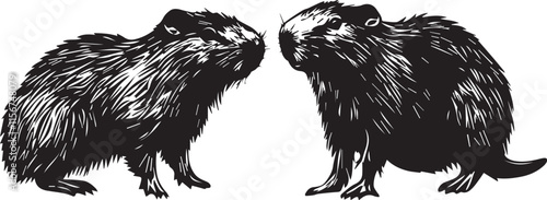 Vector graphic with a set of rodents, hand drawn