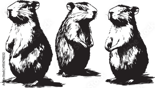 Vector graphic with a set of rodents, hand drawn