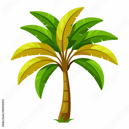 banana tree ,white background photo