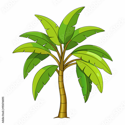 banana tree ,white background photo