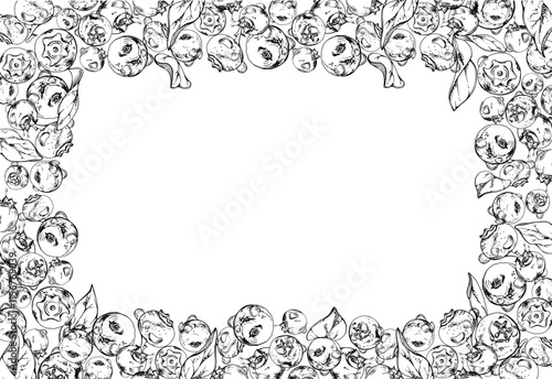 Blueberry blackberry, hand drawn in ink vector, group of scattered ripe forest berry with drops and plant leaves. Border frame isolated illustration, for restaurant, cafe menu, wedding, farmers market