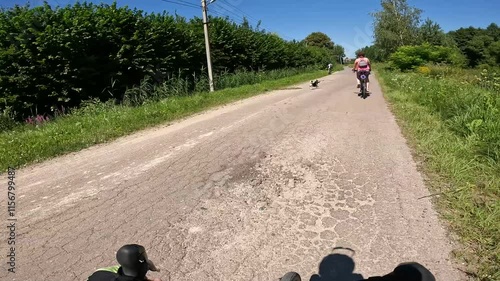 Gravel bicycle in the city park on the spring season