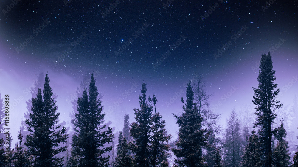 A shadow of pine trees casted by a bright purple and blue starry night sky, universe landscape during night time for desktop wallpaper, A shadow of pine trees casted by a bright purple and blue starry night sky, universe landscape during night time for desktop wallpaper,