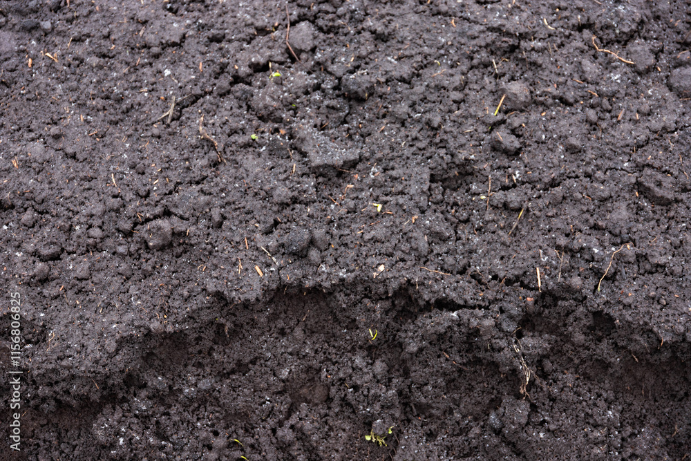 Black earth texture, humus, fertile soil. Background. Black earth texture, humus, fertile soil. Background.