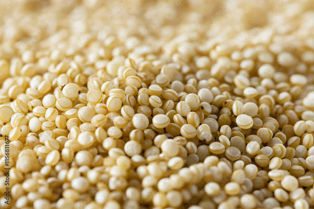 Close-Up of Uncooked Golden Quinoa Seeds in Natural Light Close-Up of Uncooked Golden Quinoa Seeds in Natural Light