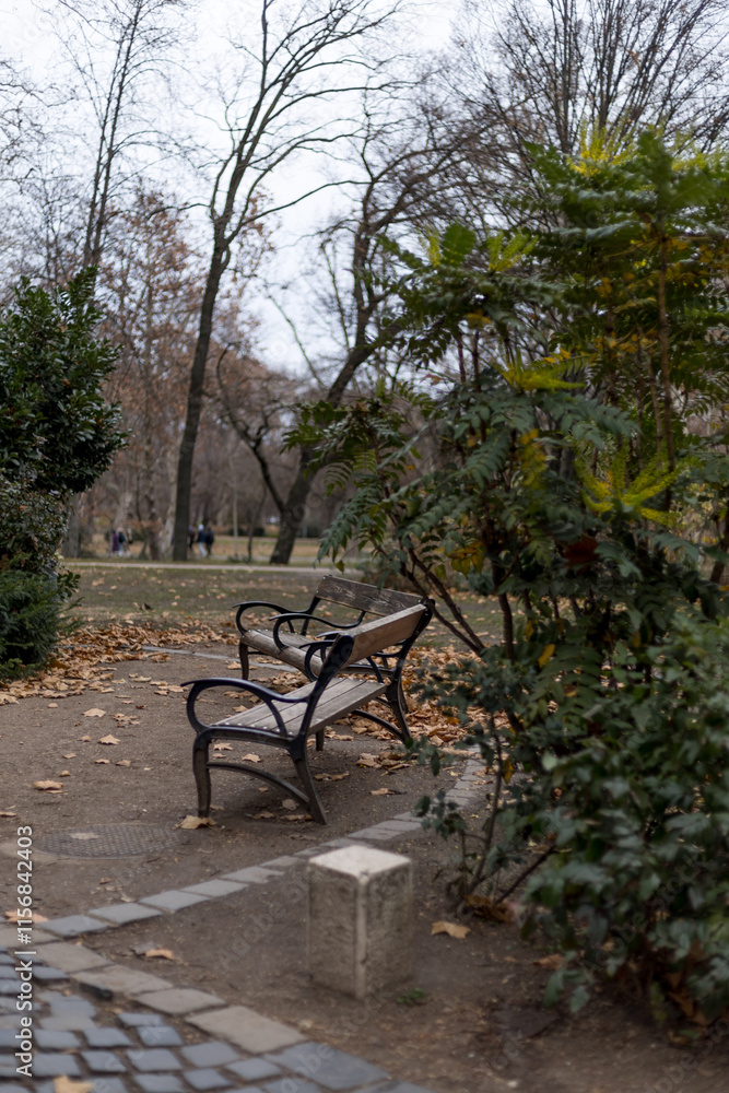 Wooden benches surrounded by dry autumn leaves in a serene park setting Wooden benches surrounded by dry autumn leaves in a serene park setting