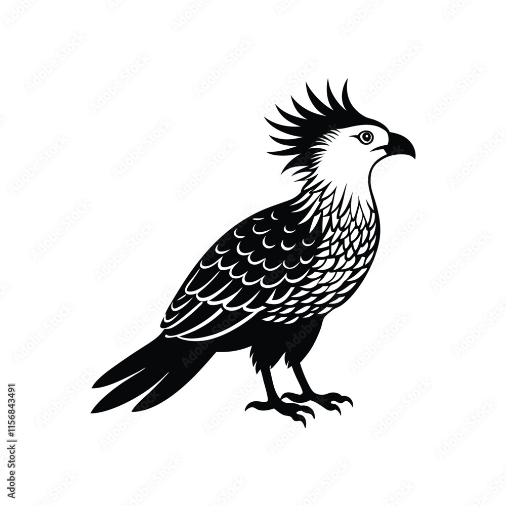 Obraz premium crested-caracara.eps