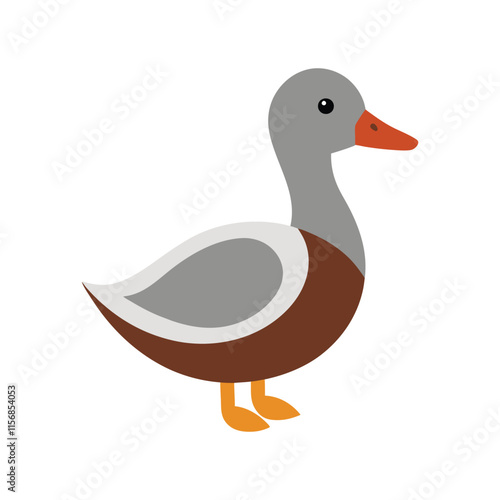 gadwall.eps