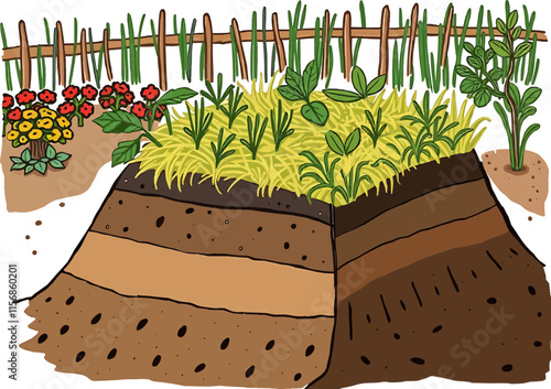 Schéma coupe de terre de jardin permaculture