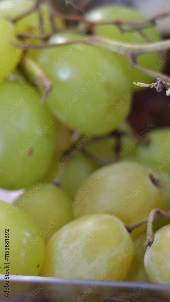 reveals bunch green grapes plastic package table freshness appeal slow backward panning shot scene visuals texture color experience atmosphere heritage design presentation reveals bunch green grapes plastic package table freshness appeal slow backward panning shot scene visuals texture color experience atmosphere heritage design presentation