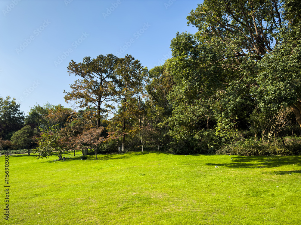 Tranquil Natural Landscape with Lush Greenery and Clear Sky Tranquil Natural Landscape with Lush Greenery and Clear Sky