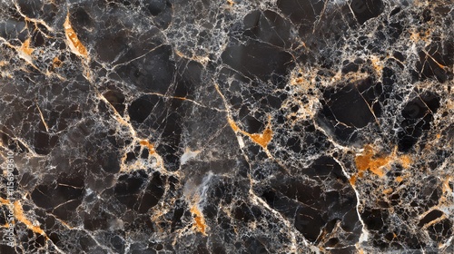 Luxury Black Marble with Gold Veining