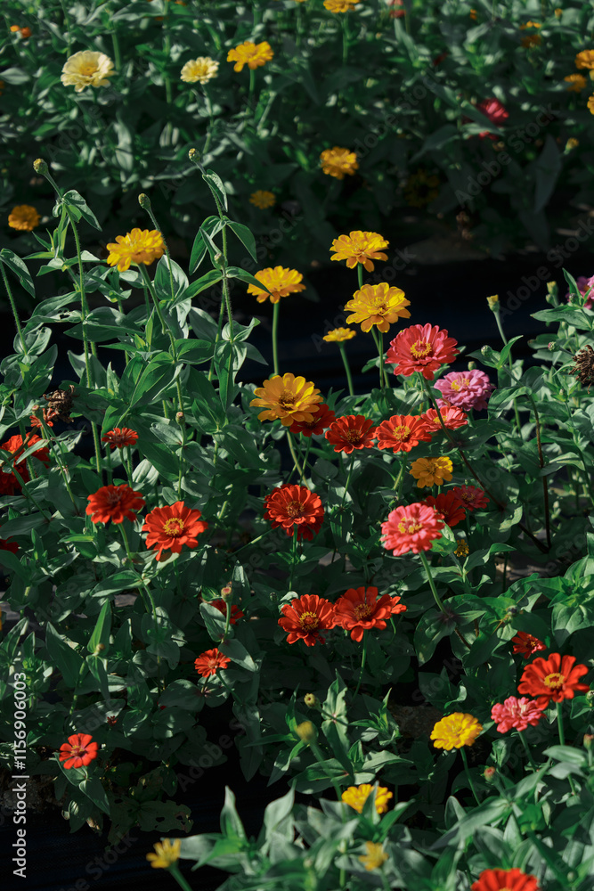 Naklejka premium background,