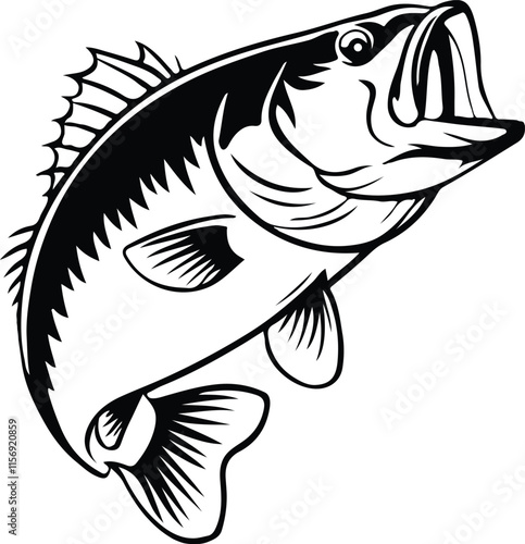 Bass fish illustration