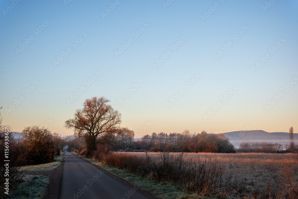 frozen landscape frozen landscape
