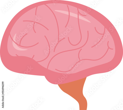 Human brain vector design.