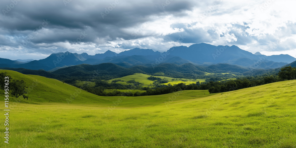 Green grass lush wheat field with tall mountains and dark clouds background Green grass lush wheat field with tall mountains and dark clouds background
