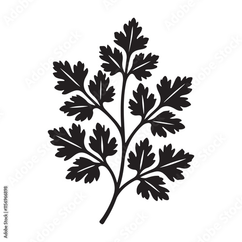 Detailed Silhouette Parsley Sprig Illustration for Various Uses