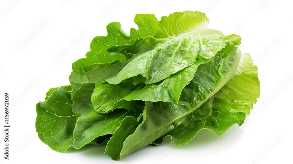 Close-up of a fresh vegetable lying on a pure white background. Simple yet vivid display of the vegetable's details, showing its texture and unique shape clearly, a great visual for food related topic Close-up of a fresh vegetable lying on a pure white background. Simple yet vivid display of the vegetable's details, showing its texture and unique shape clearly, a great visual for food related topic