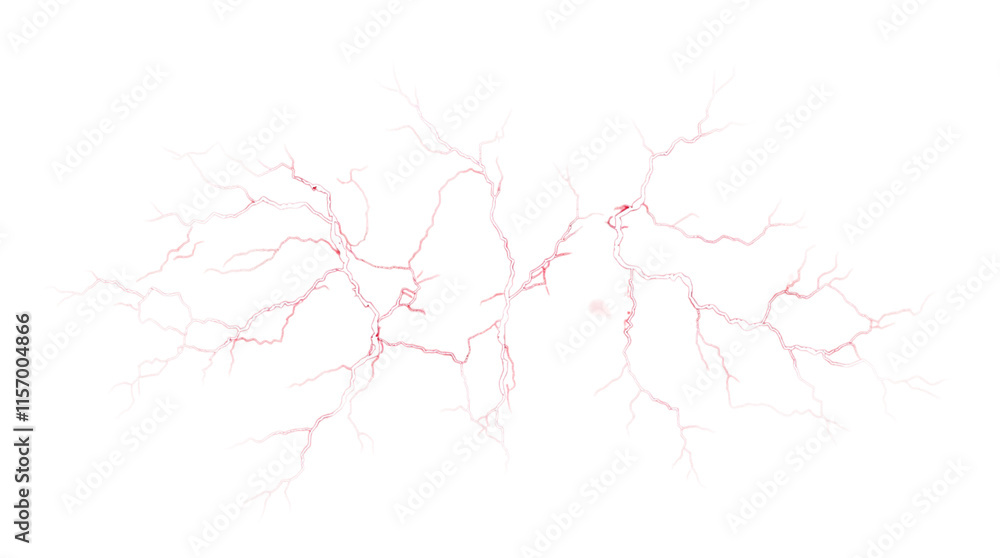 abstract white network resembling neural connections on a plain background abstract white network resembling neural connections on a plain background